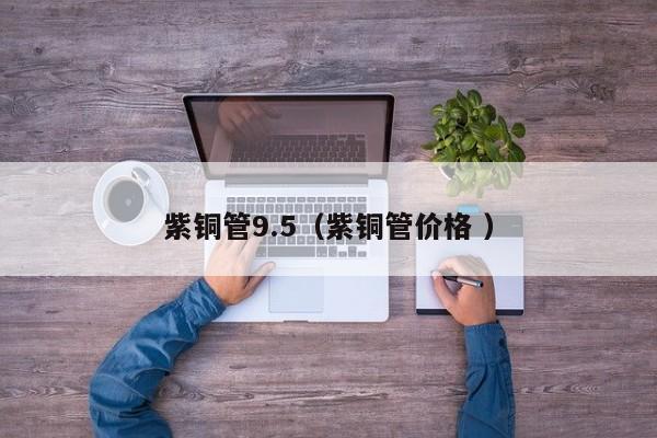 紫銅管9.5（紫銅管價格 ）