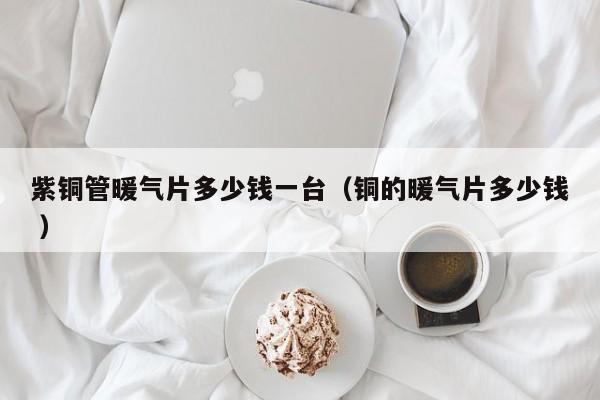紫銅管暖氣片多少錢一臺（銅的暖氣片多少錢 ）