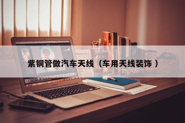 紫銅管做汽車(chē)天線(xiàn)（車(chē)用天線(xiàn)裝飾 ）