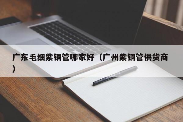 廣東毛細紫銅管哪家好（廣州紫銅管供貨商 ）