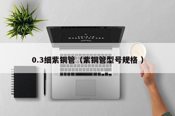 0.3細(xì)紫銅管（紫銅管型號規(guī)格 ）