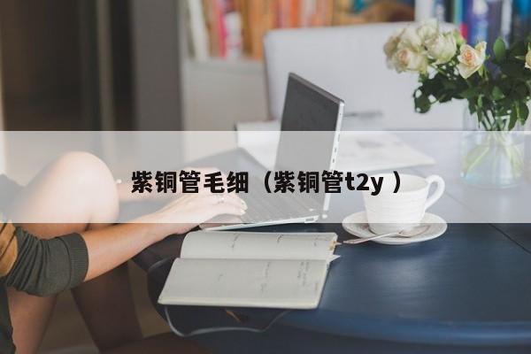 紫銅管毛細（紫銅管t2y ）