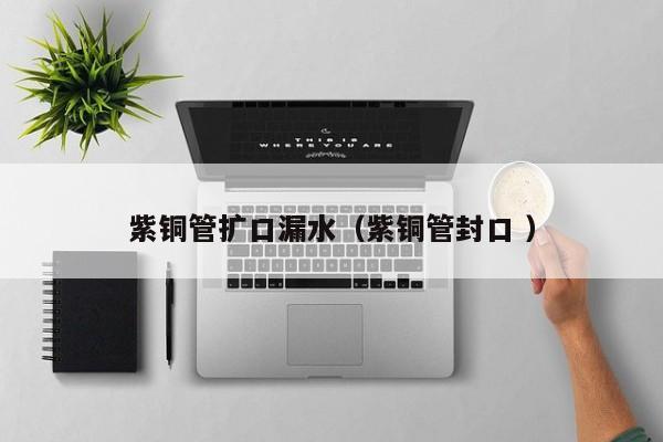 紫銅管擴口漏水（紫銅管封口 ）