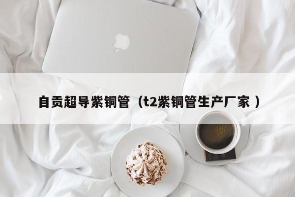 自貢超導紫銅管（t2紫銅管生產(chǎn)廠家 ）