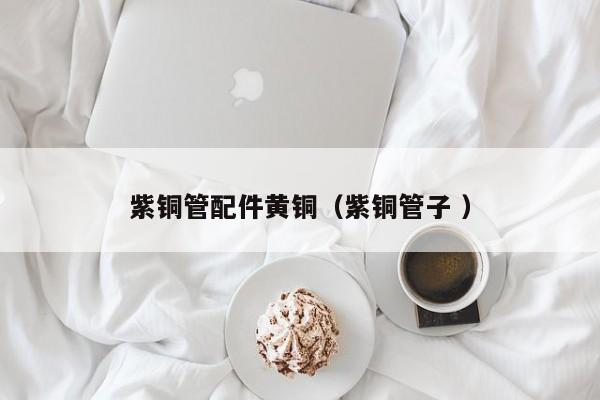 紫銅管配件黃銅（紫銅管子 ）