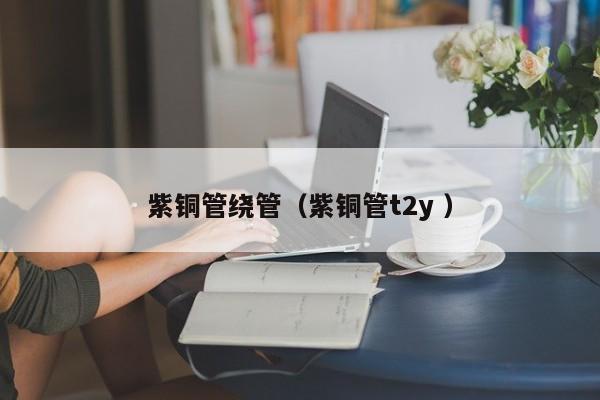 紫銅管繞管（紫銅管t2y ）