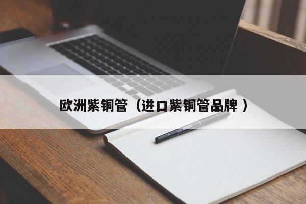 歐洲紫銅管（進口紫銅管品牌 ）