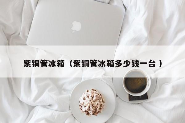 紫銅管冰箱（紫銅管冰箱多少錢一臺 ）