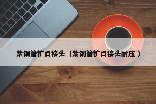 紫銅管擴(kuò)口接頭（紫銅管擴(kuò)口接頭耐壓 ）