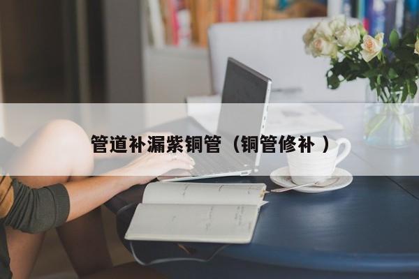 管道補(bǔ)漏紫銅管（銅管修補(bǔ) ）