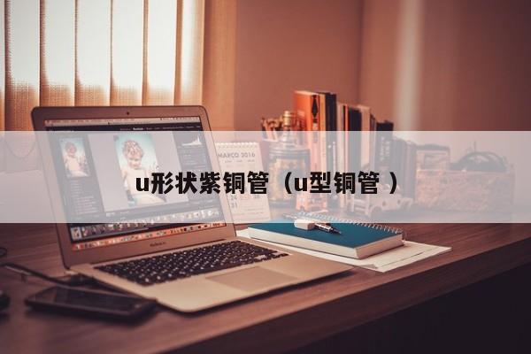 u形狀紫銅管（u型銅管 ）