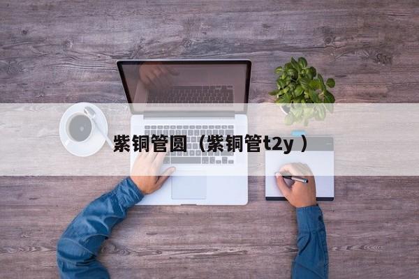 紫銅管圓（紫銅管t2y ）