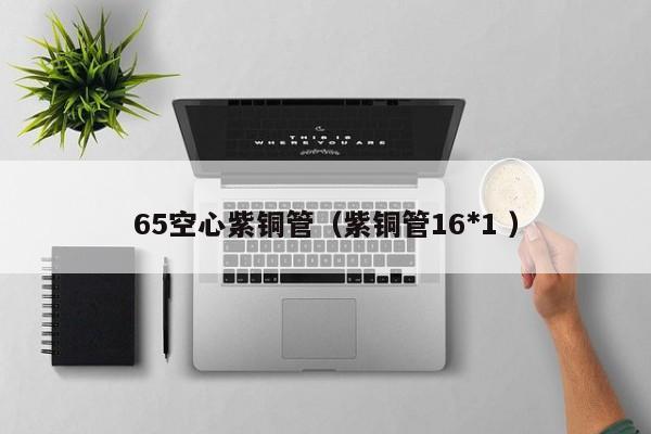65空心紫銅管（紫銅管16*1 ）