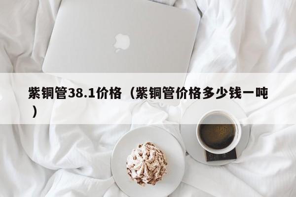 紫銅管38.1價格（紫銅管價格多少錢一噸 ）